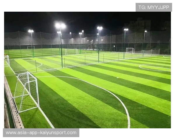 德甲联赛球场草坪质量成为球队主场重要变量，欧盟足球草坪多少钱