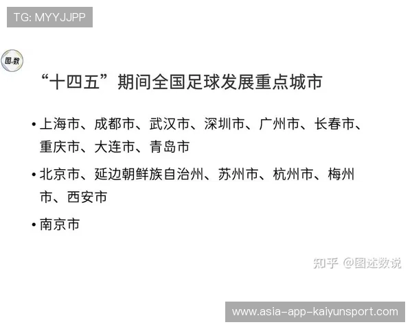 职业联赛体系是否合理，职业联赛的定义