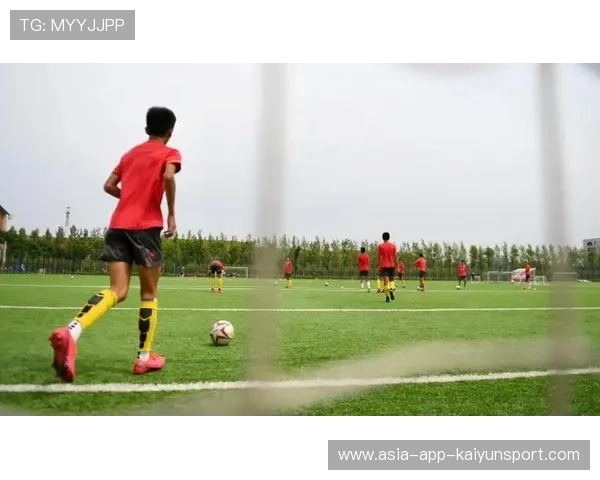 青训体系是否鼓励跨校跨地联合开展实战演练,青训训练 青训体系是否鼓励跨校跨地联合开展实战演练,青训训练