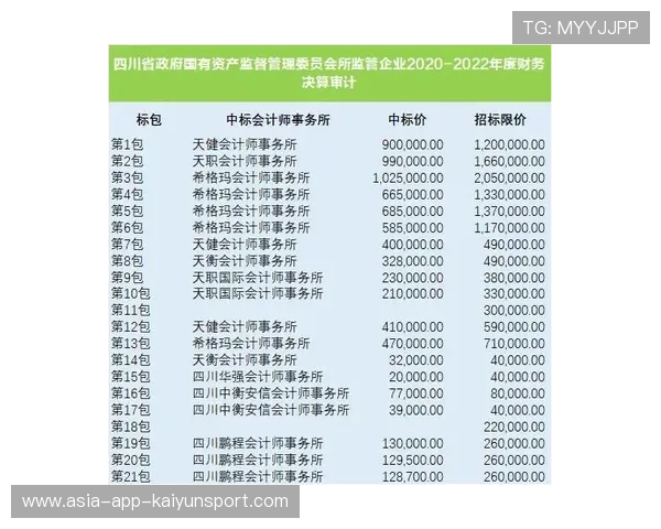 职业俱乐部的财务审计制度